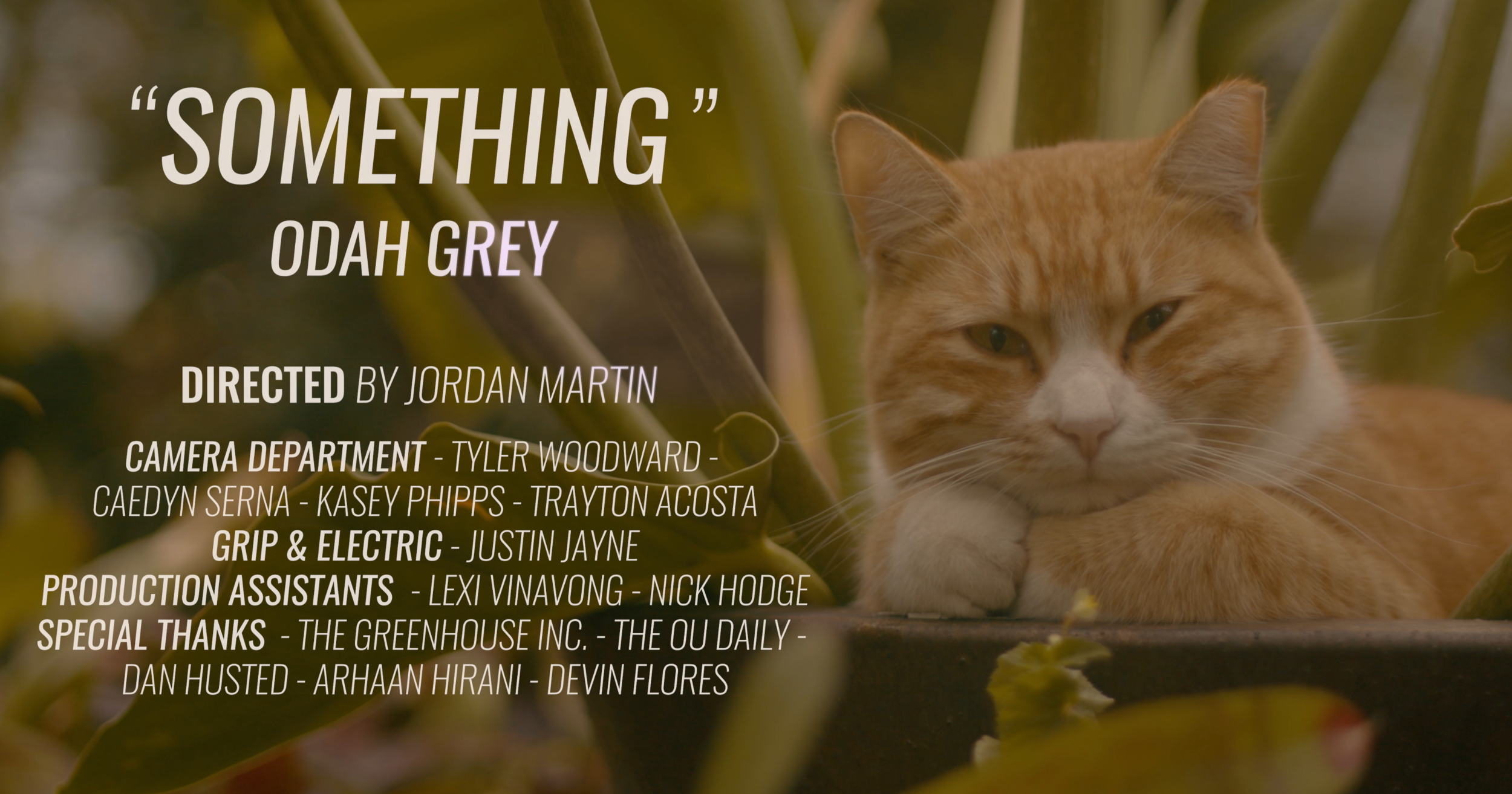 Screen Shot 2021-12-15 at 1.31.22 PM.png