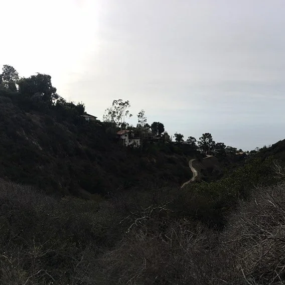 This #monday I'm taking a moment to appreciate where I live. You pretty #lagunabeach #hike #sunset #canyoubelievenofilter #nofilter #orangecounty  #cameraphone #travel #femaletraveler #photography #travelphotography #travelblogger #instablogger #trav