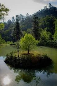 Regulated Motherhood: The Foundations (Beta Cohort)