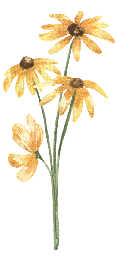 Watercolor painting of a yellow floral arrangement with three fully bloomed flowers and one partially sprouted bud, with green stems.