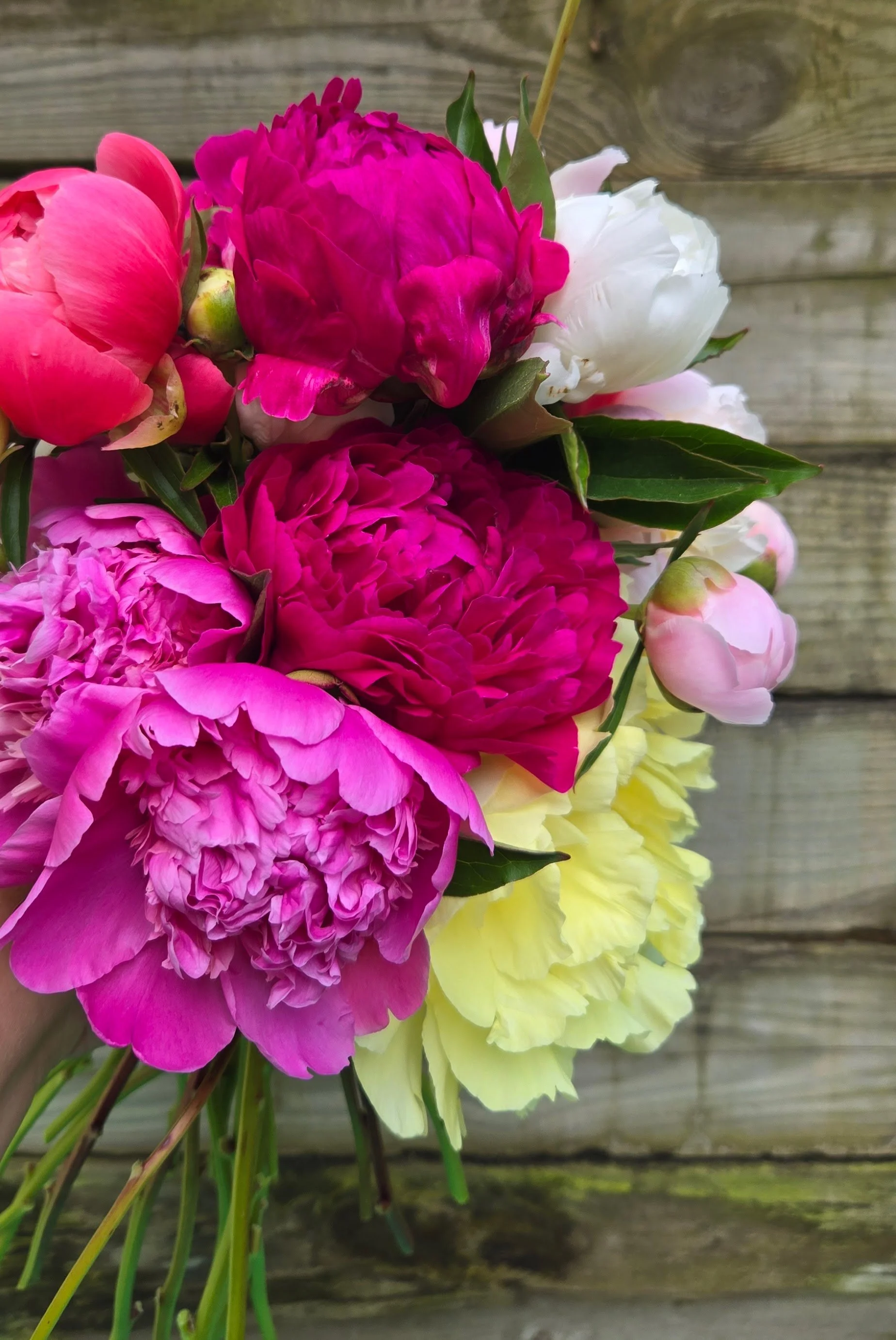 20250608_100850 (1).jpg