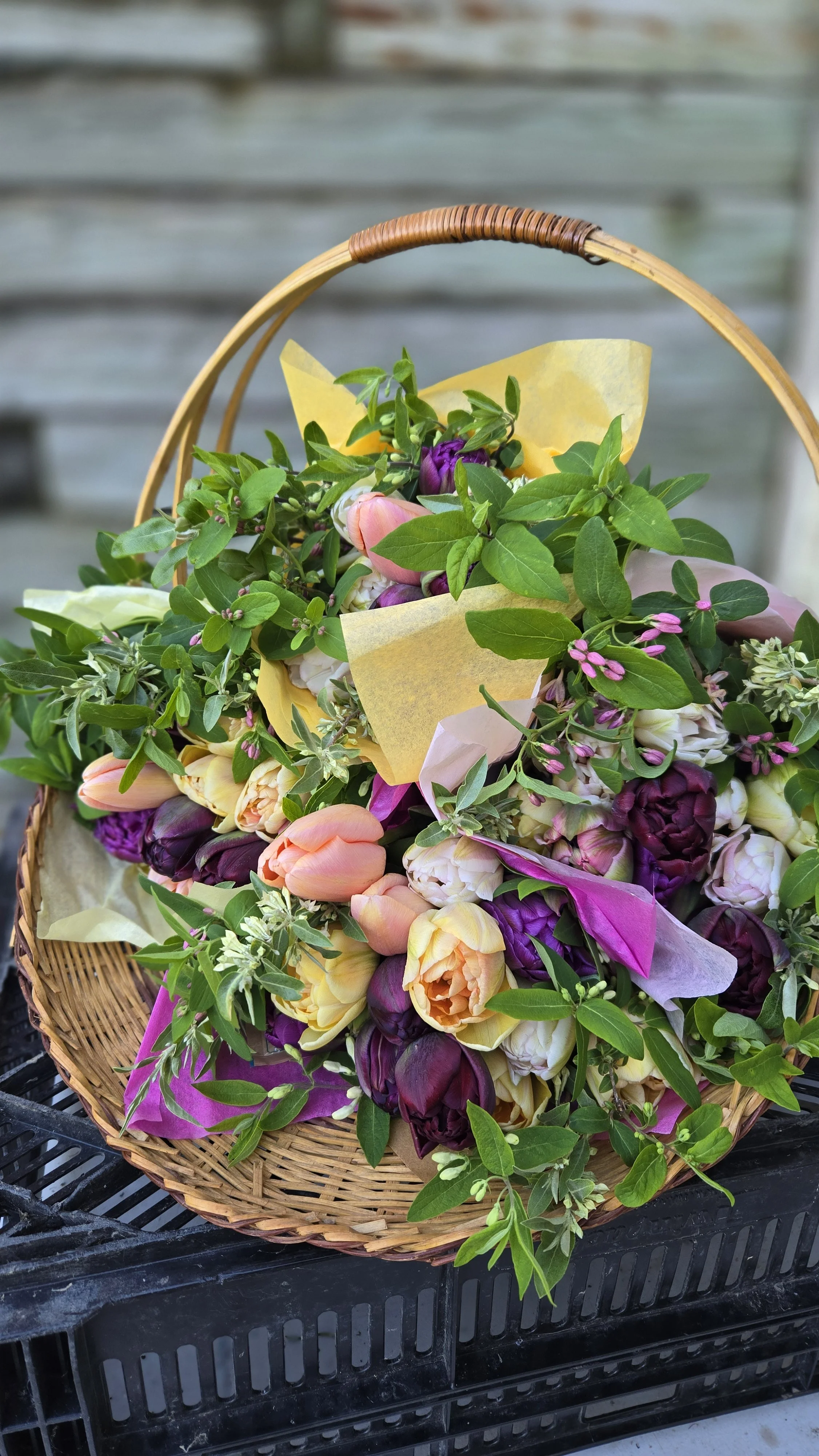 20240430_083923 (1).jpg