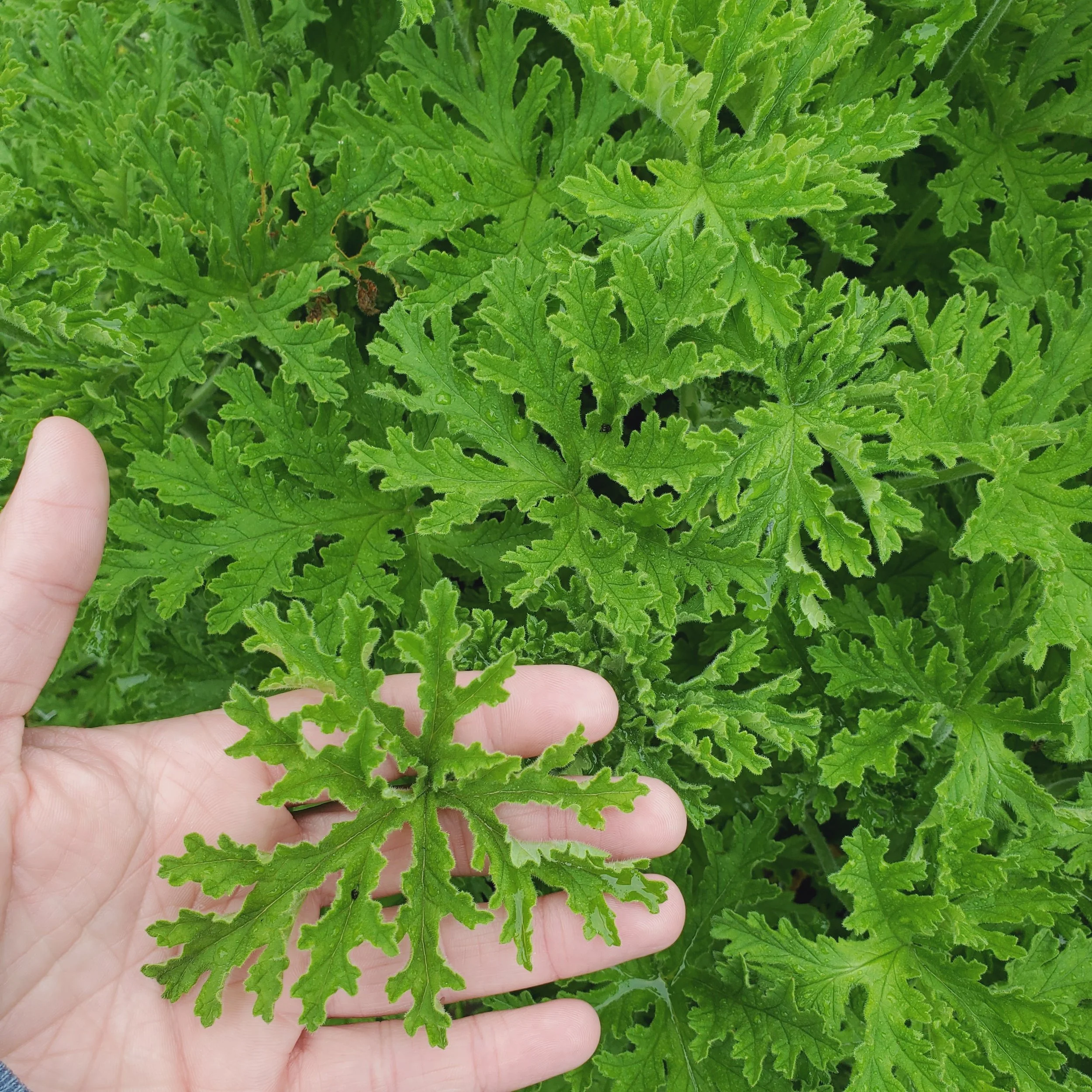 20230806_103504.jpg