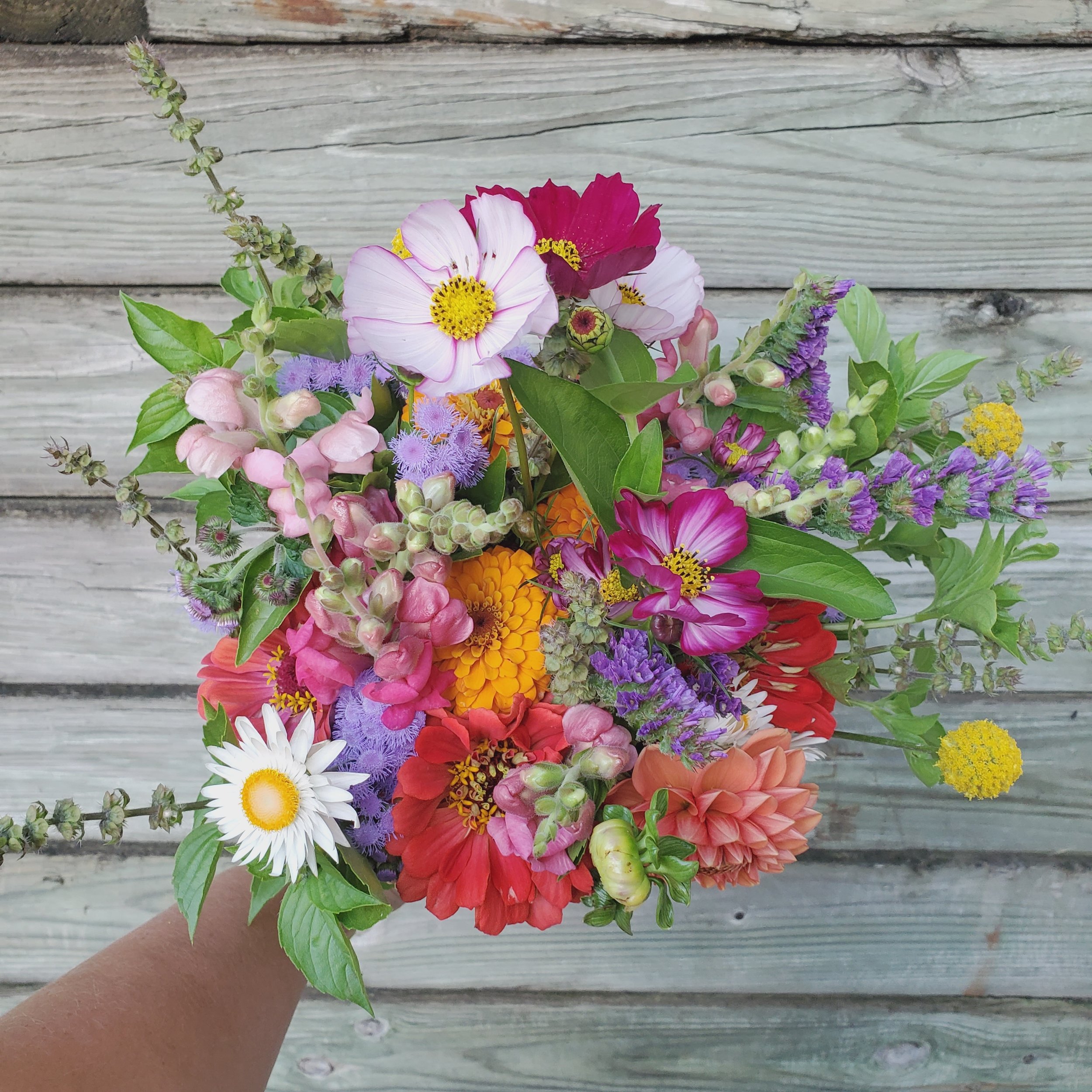 Late Summer Flower Bouquet Subscription (2026)