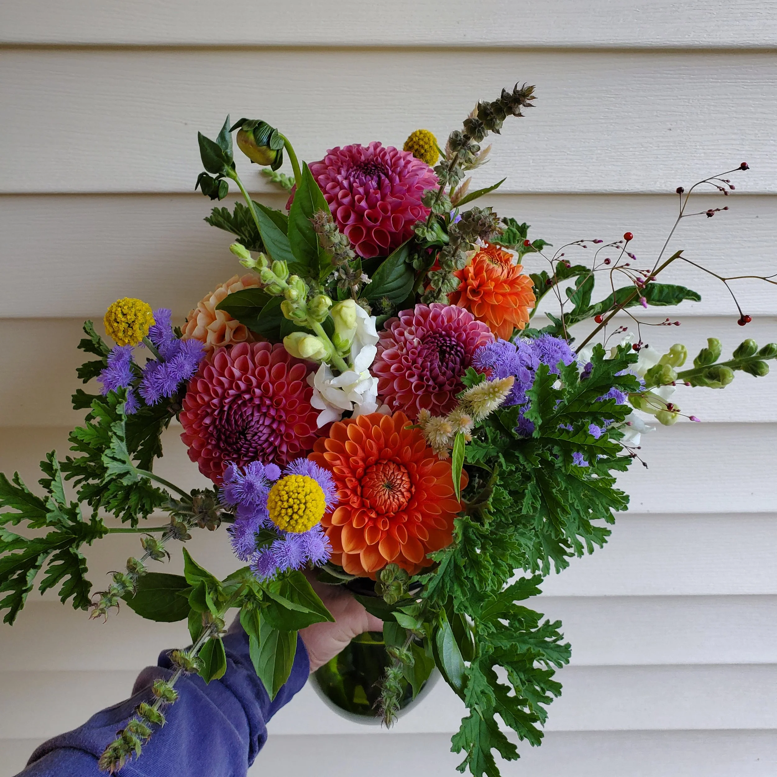 20230817_075827 (1).jpg