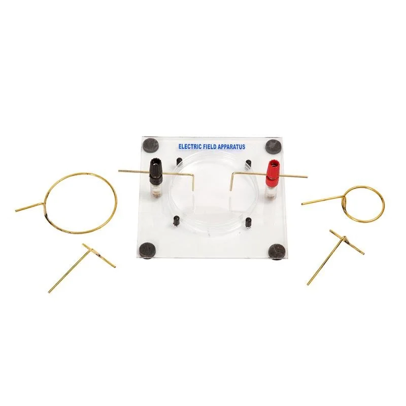 ELECTRIC FIELD APPARATUS