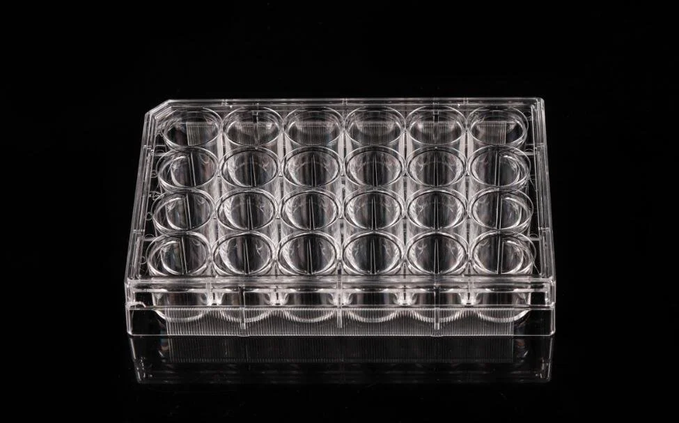 WELL CELL CULTURE PLATE - 24 WELL - TC STERILE (CASE OF 50)