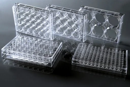 LW650X-Well-cell-culture-plates-flat-TC-sterile.jpg