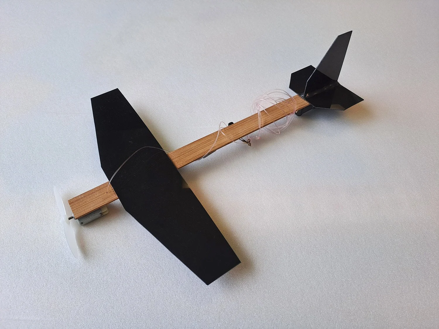 CAPTIVE PLANE WITH THE LOT