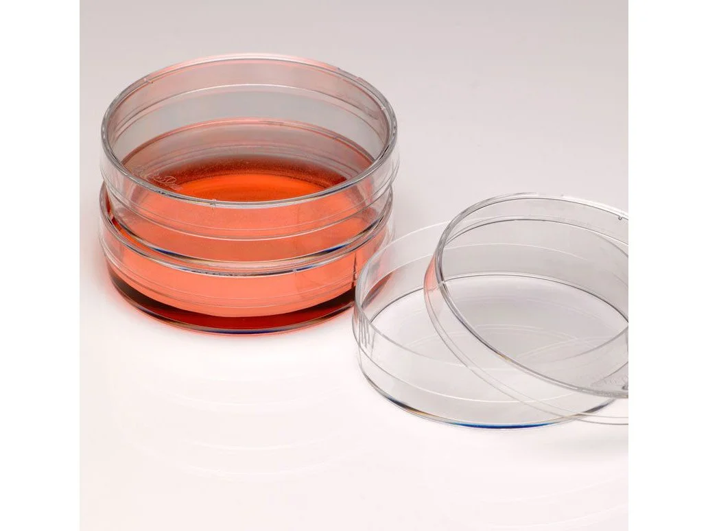 LW2469-03_Cell_culture_petri_dish_polystyrene_60mm.jpg