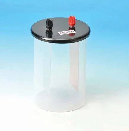 SIMPLE VOLTAIC CELL