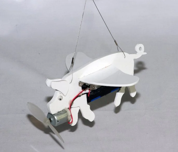 CAPTIVE PIG Plastic_prototype_2015_04.JPG