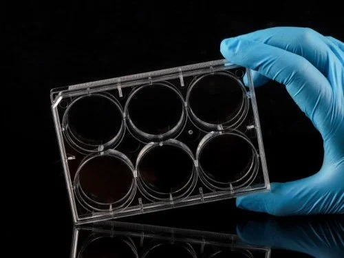 WELL CELL CULTURE PLATE - 6 WELL - TC STERILE (CASE OF 50)