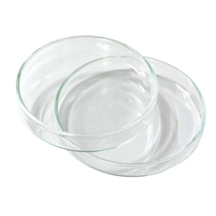 LW2387-01_Petri_dish_boro.jpg