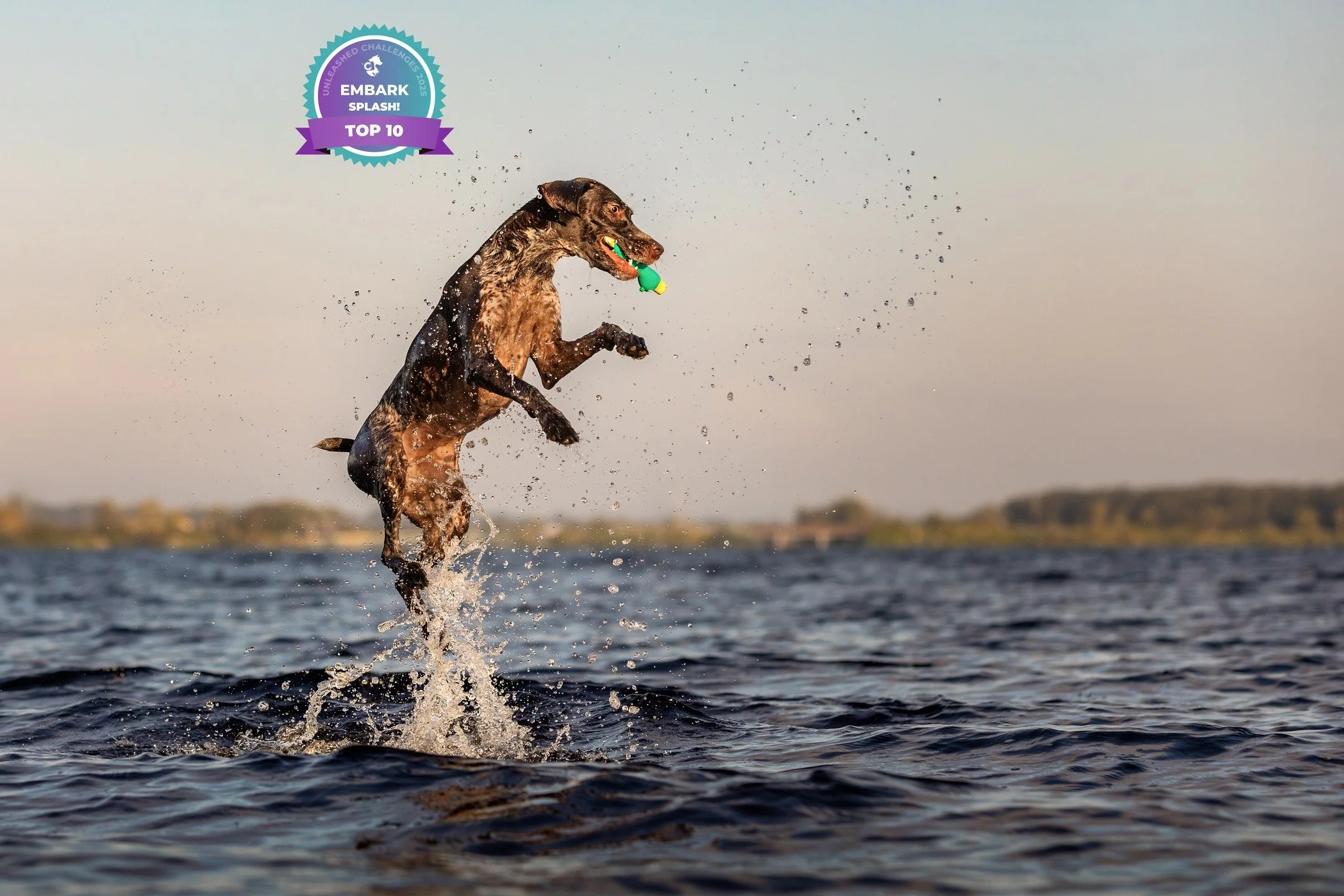 One of my favorite images submitted for last years Embark challenges! Emerge, the 2nd round of the @unleashed.ed photography challenges, has already kicked off. Can't wait to get going with Emerge!