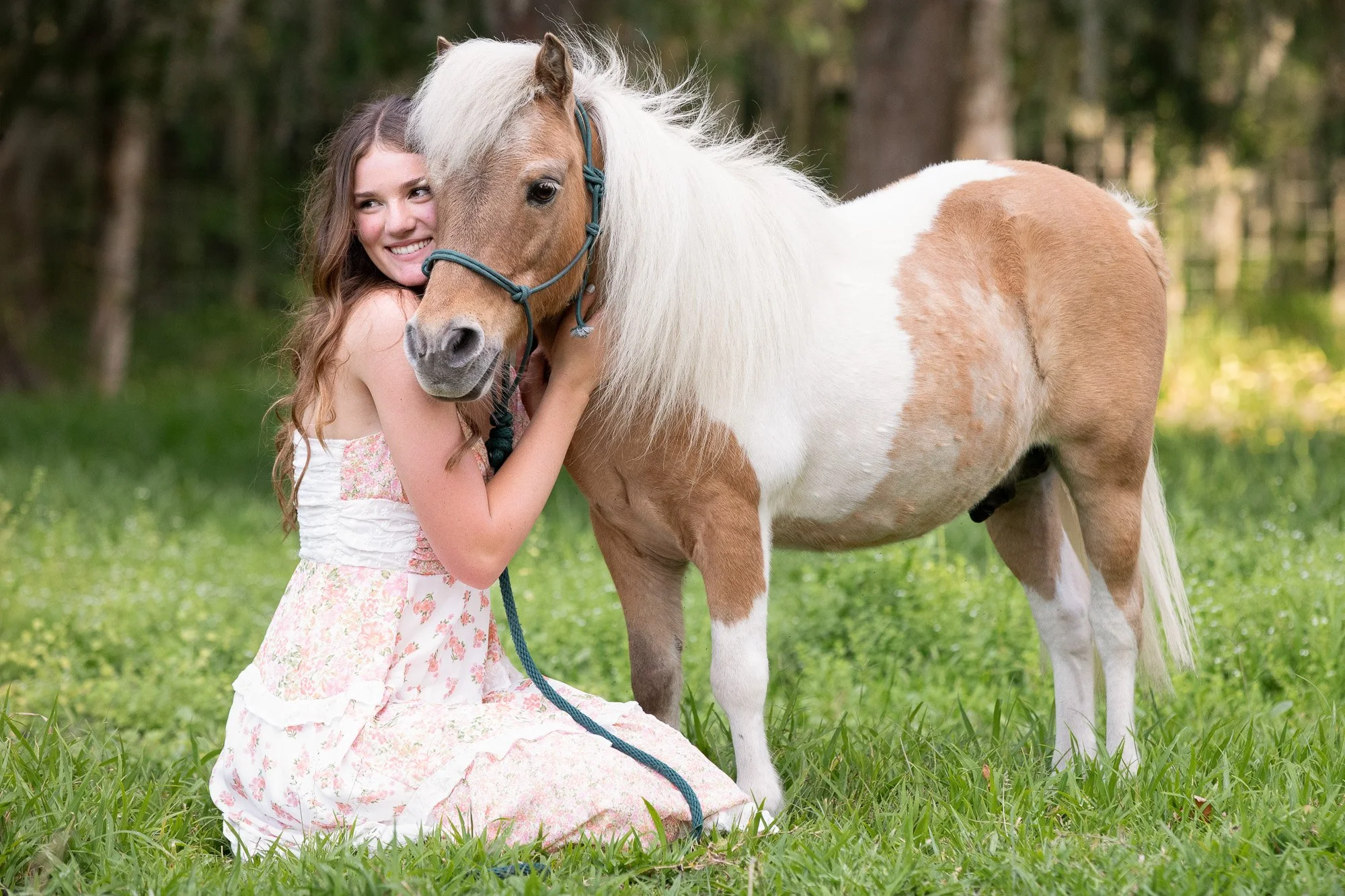 girl in summer dress hugging sweet miniature paint horse
