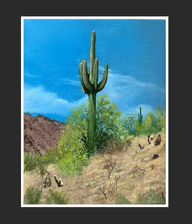 Saguaros in Arizona - Print