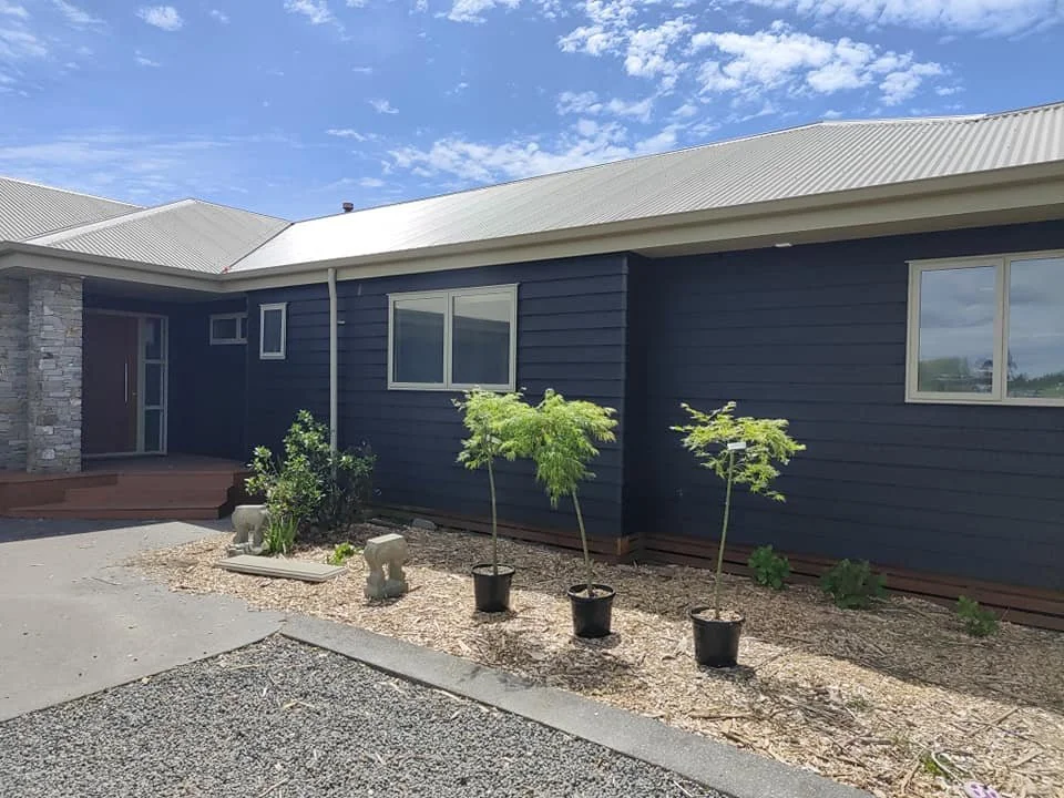Front yard of a house with three young trees in black pots and a stone pathway, house painted dark blue with white-framed windows, and a partly cloudy sky overhead.