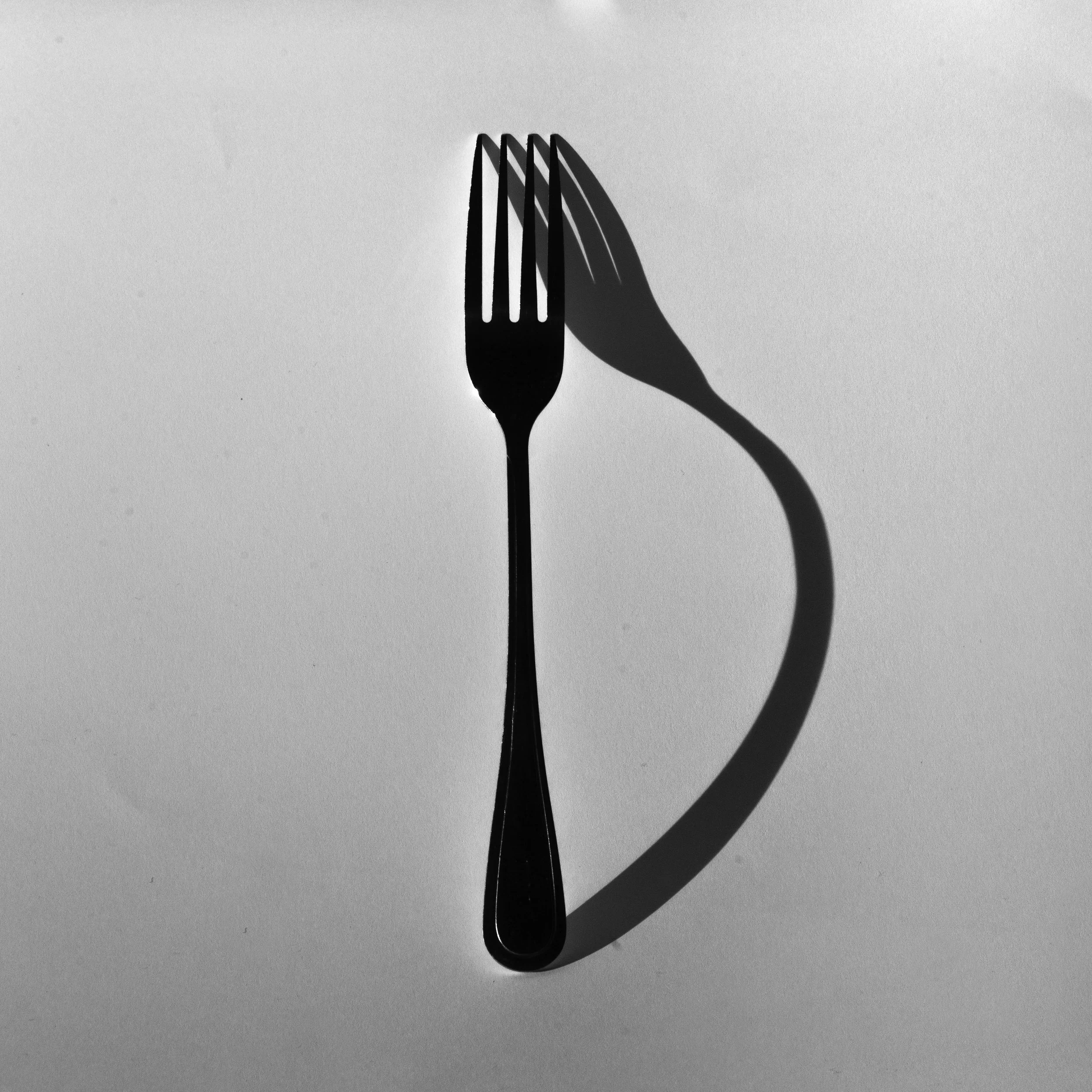 THE FORKCAST