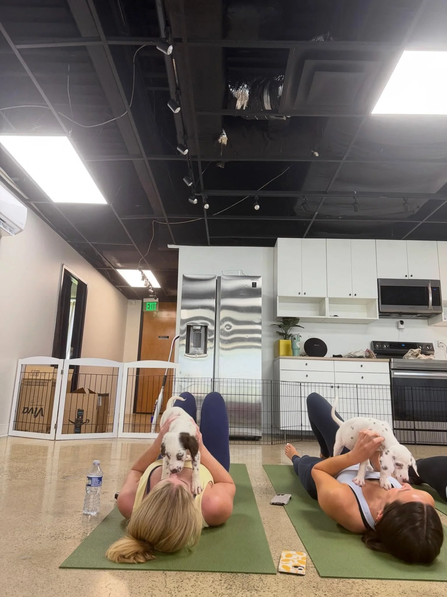 Someone put on 101 Dalmatians immediately 🐾
# puppy yoga # maybe I do like dogs 

Shoutout to the best planner ever @happilyhosted.byallie