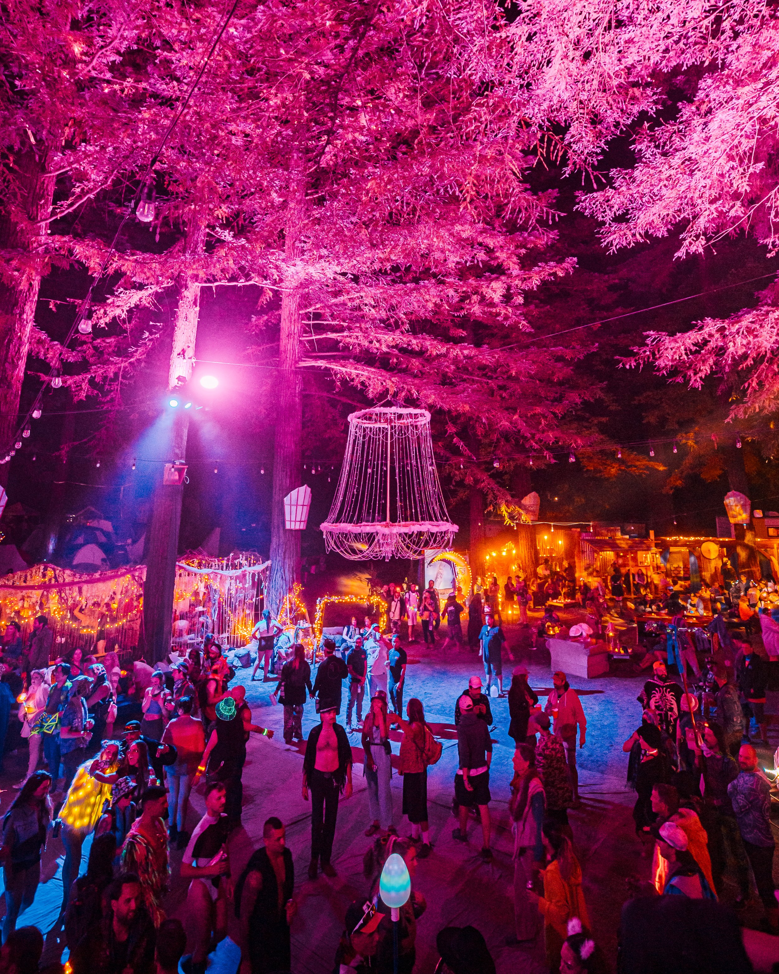 Night scene at a festival with big pink illuminated trees, hanging light decorations, and a crowd of people enjoying the event near illuminated booths and structures.