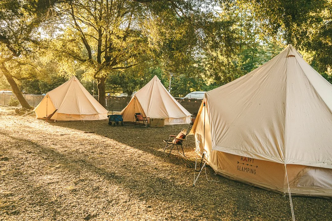 Glamping: canvas bell tents set up under oak trees at Northern Nights.