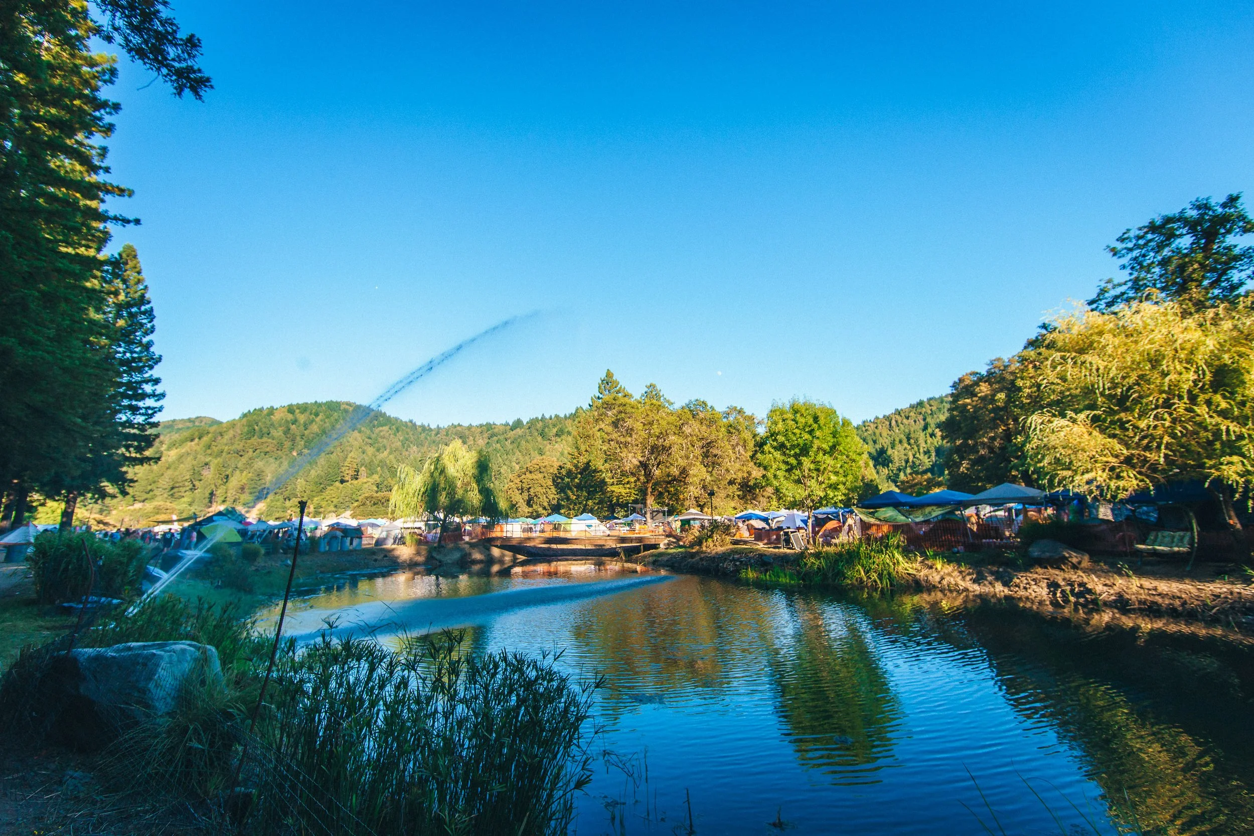 RV Pond Camping: a calm pond reflecting the trees, with campers parked along the far bank at Northern Nights.