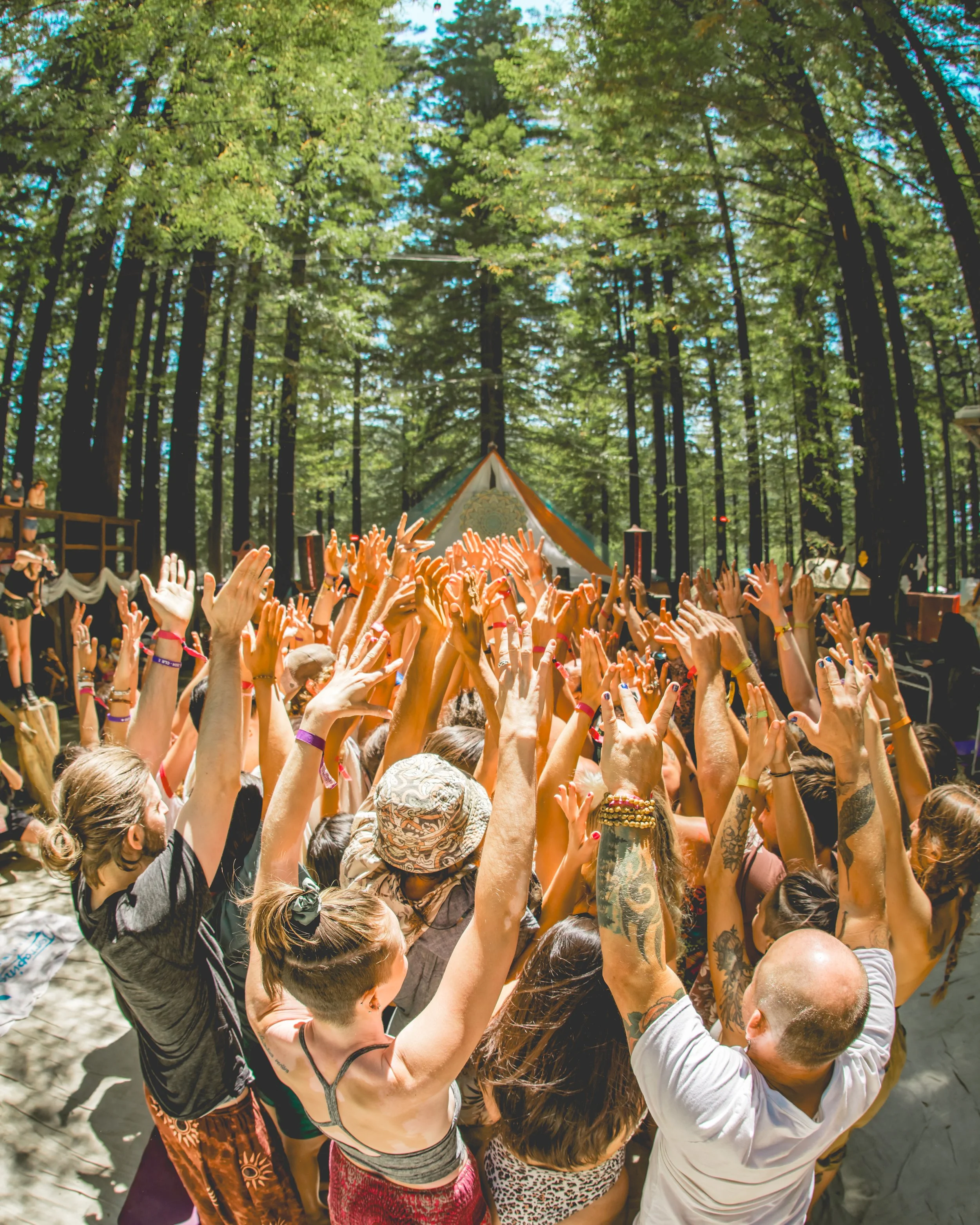 Crowd of people with hands raised in a forest at a music festival or outdoor event, with a stage and tents in the background.