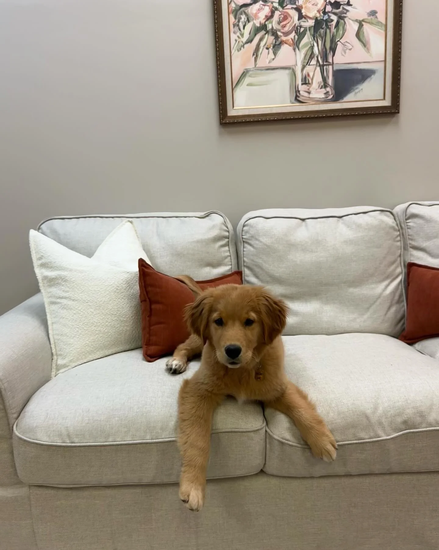 Therapy assistant, emotional support specialist, and professional treat collector🦴

Sadie is available for your therapy session upon request🐶
