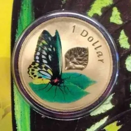 RAM Air Series: Cairns Birdwing Butterfly