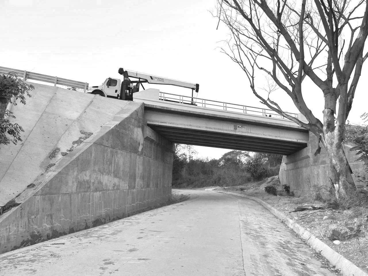 Puente de concreto con un camión con grúa en la parte superior y un árbol desnudo a la derecha.