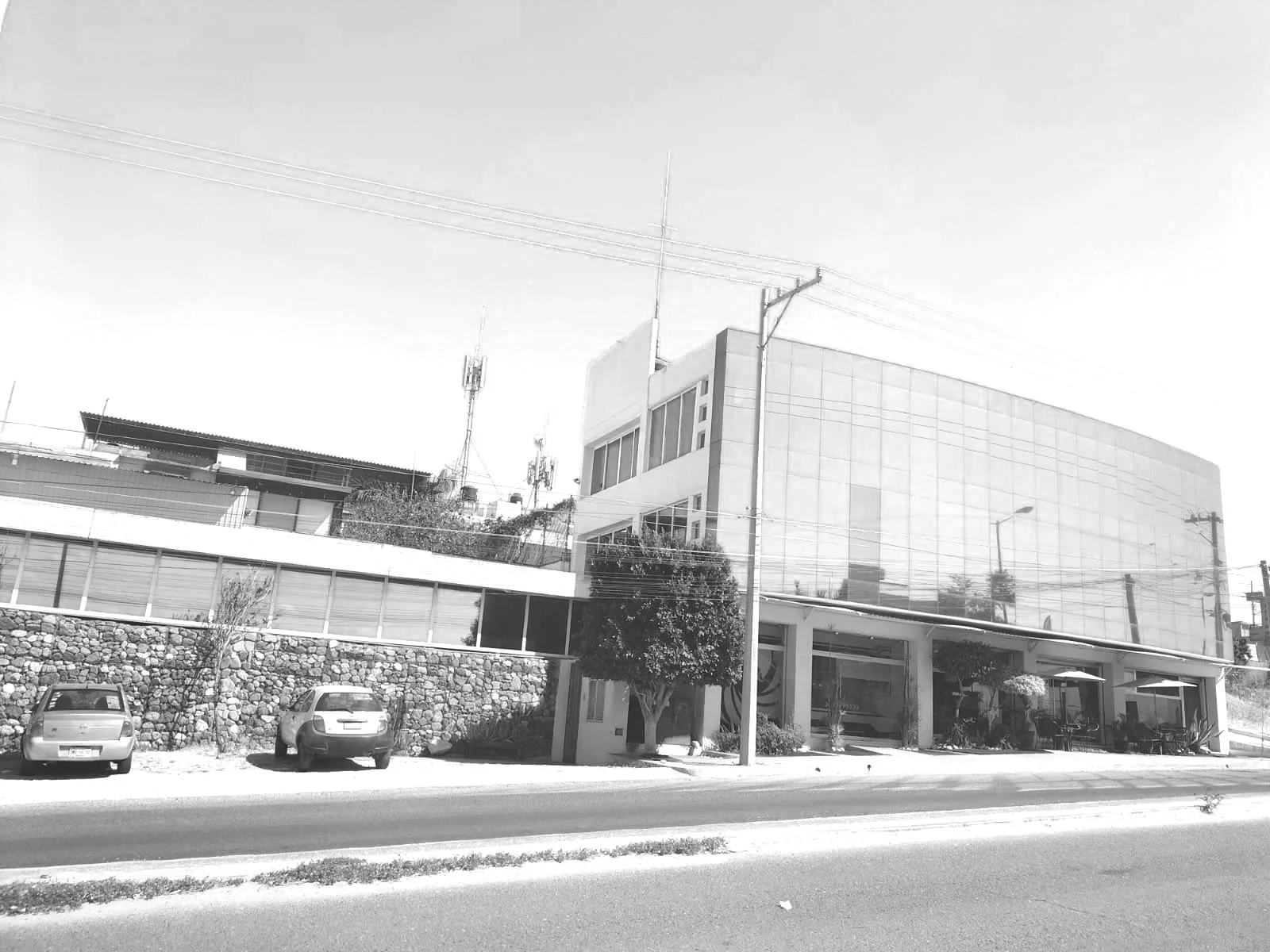 Edificio moderno de varios pisos con fachada de vidrio, árboles y autos estacionados frente a la calle.