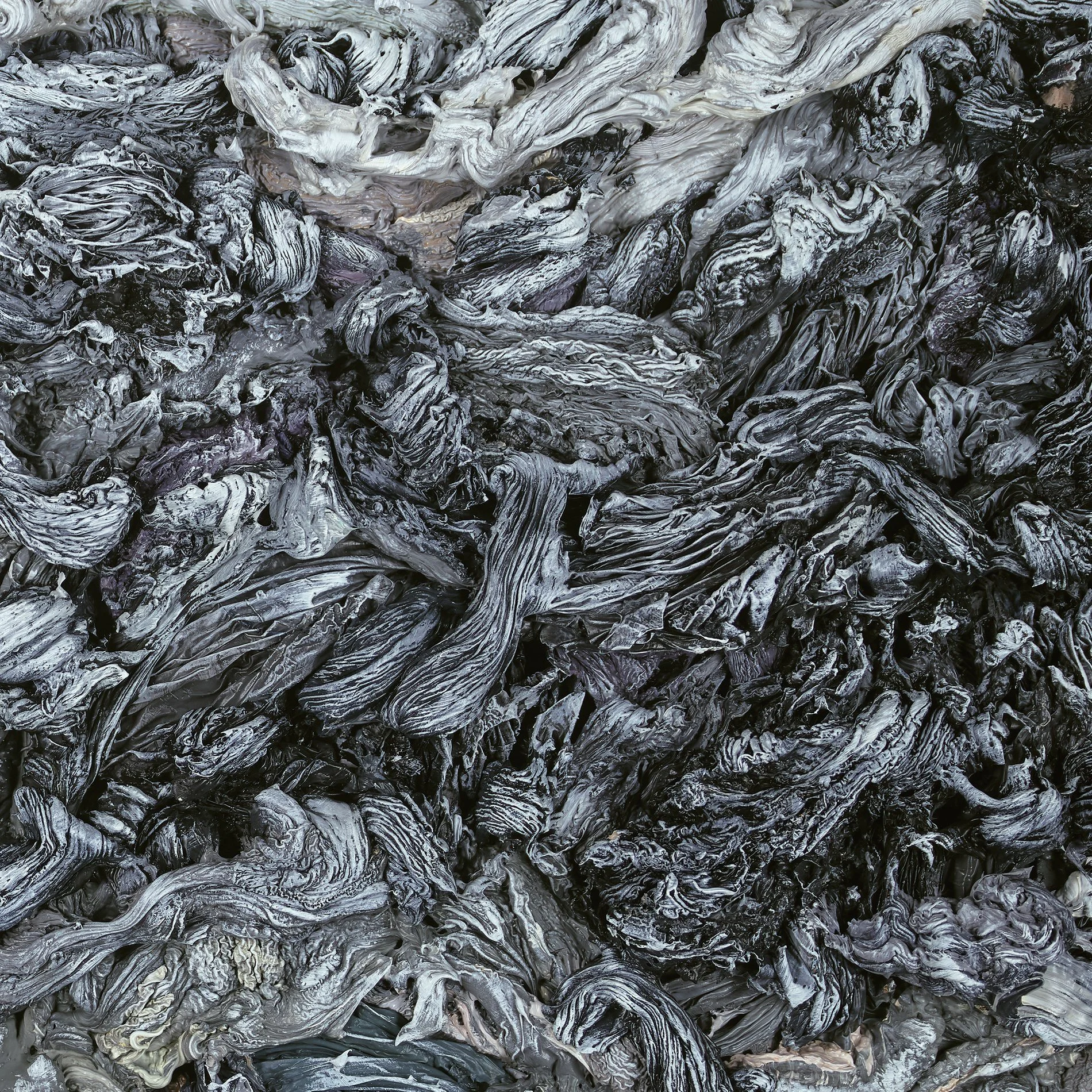 Loud Mind, Winter Sunrise (detail)
