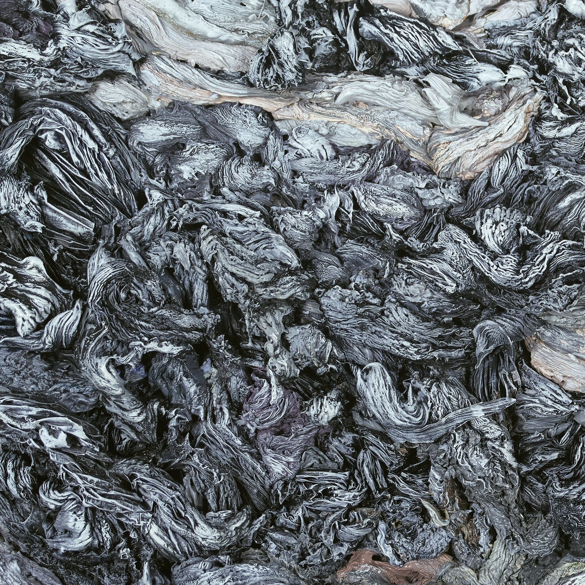 Loud Mind, Winter Sunrise (detail)