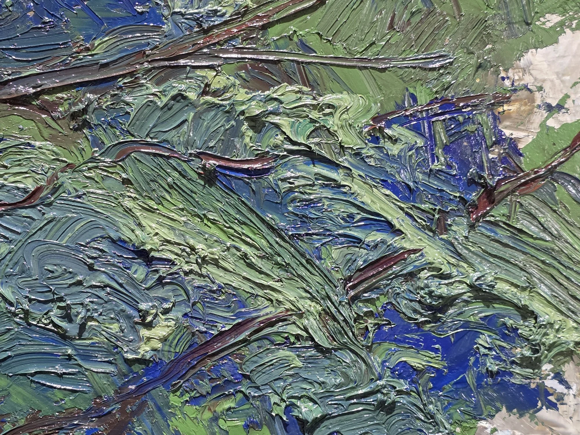 20251229_182303.jpg
