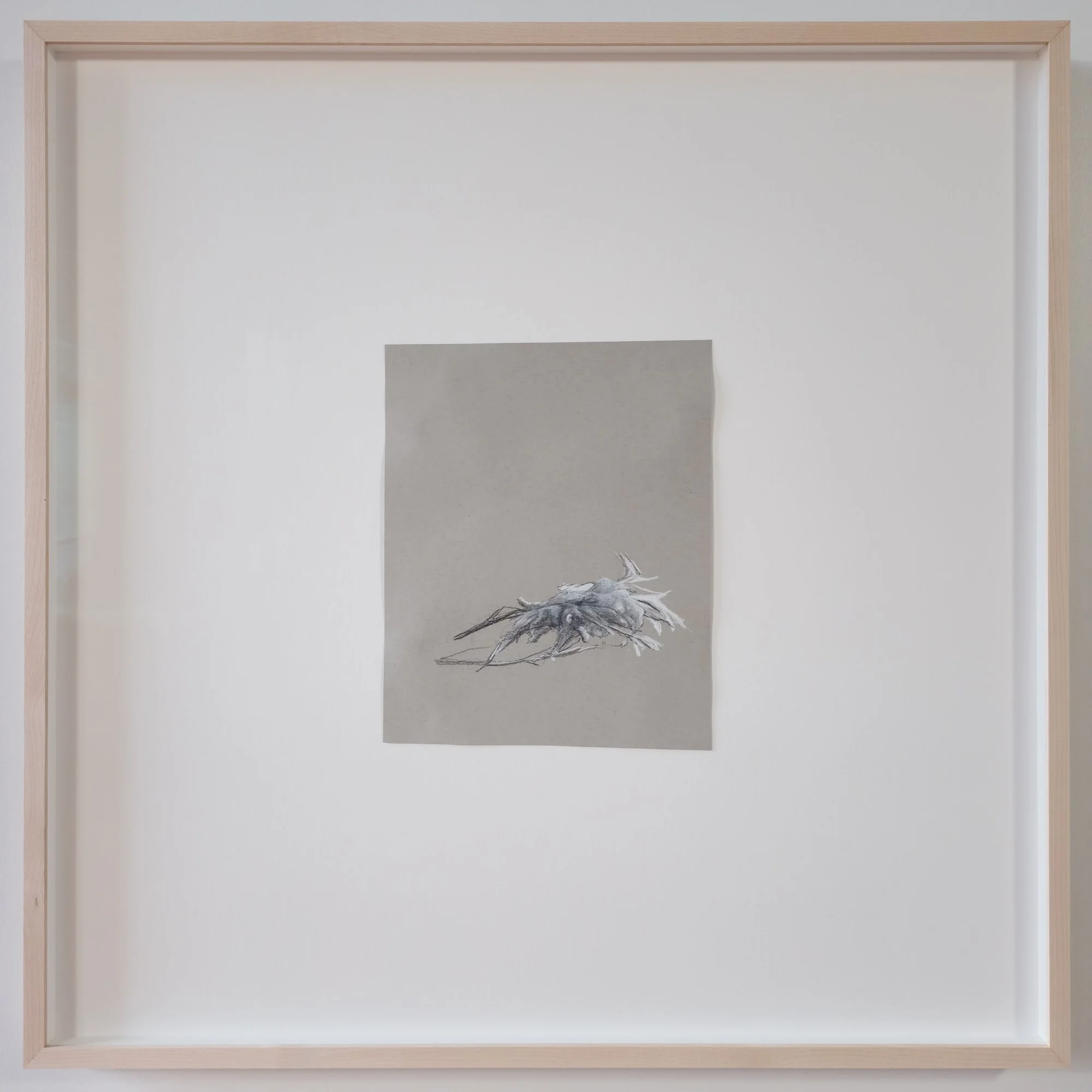 Study of Drifting Frost