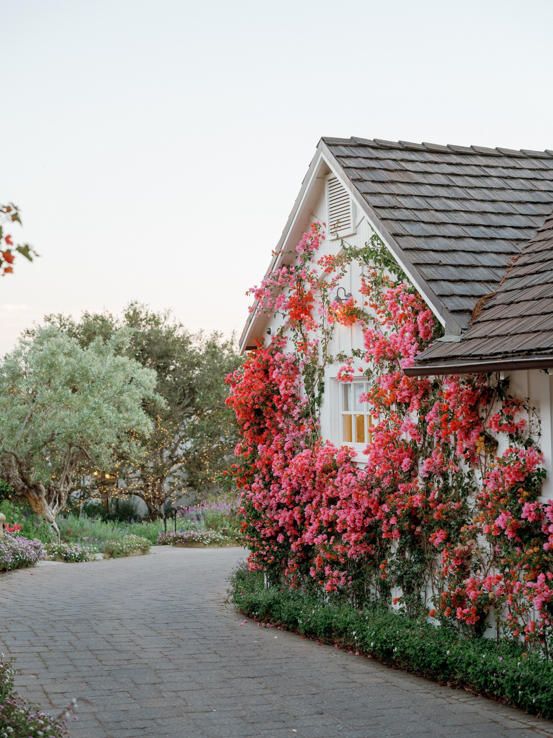 A cozy white house with a sloped roof, covered in pink and red flowers, next to a paved pathway lined with greenery and blooming plants, with trees in the background.