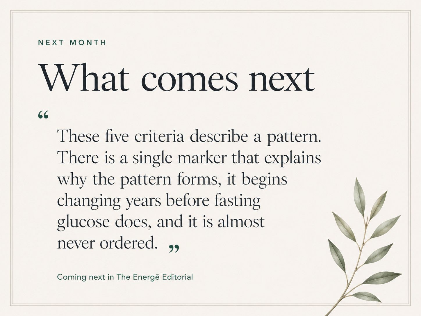 An informational graphic with the title 'What comes next' and a quote about patterns and criteria. The graphic has a minimalistic design with green text and a decorative olive branch in the bottom right corner.