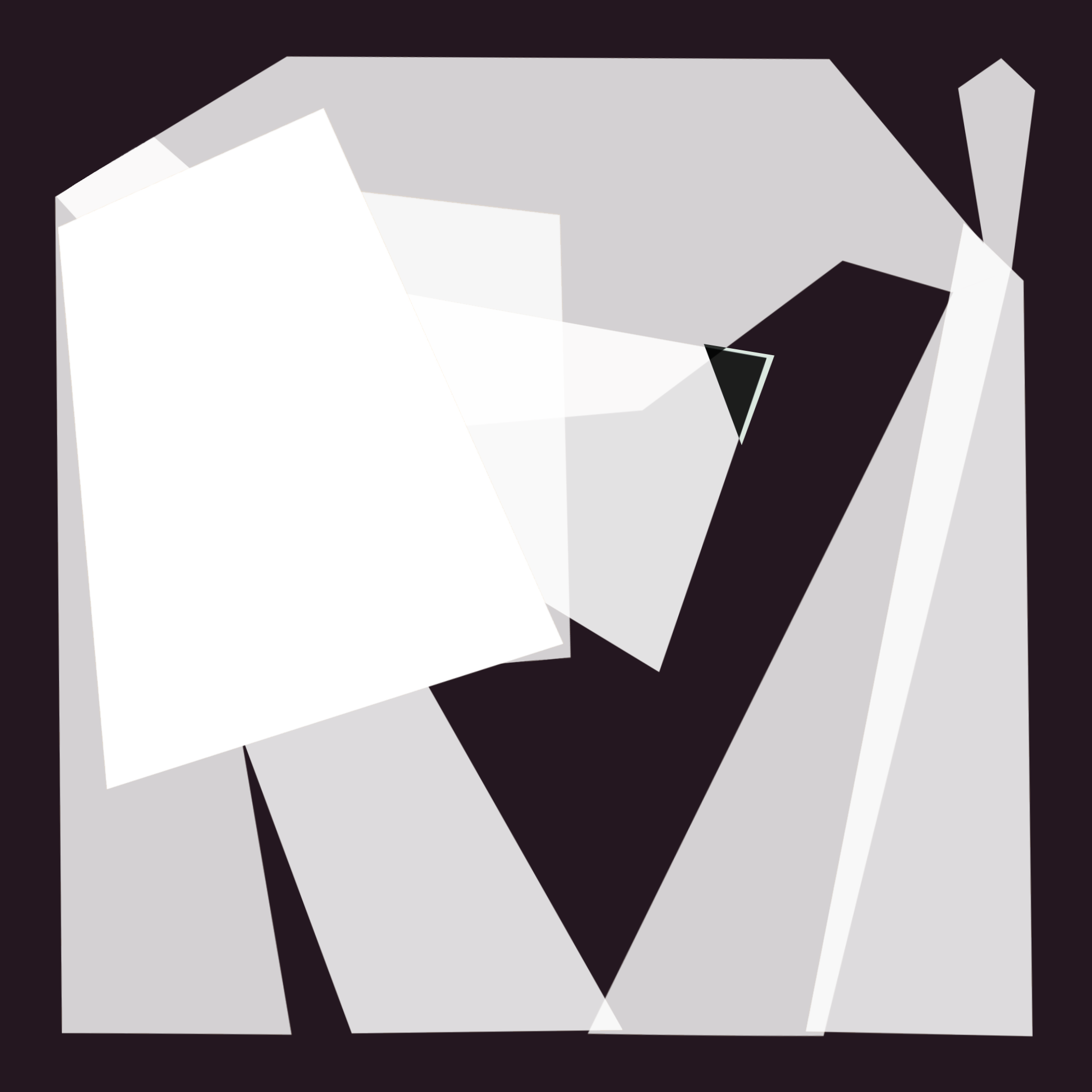 Abstract geometric digital artwork in shades of black, white, and gray with sharp angular shapes and a dark background.