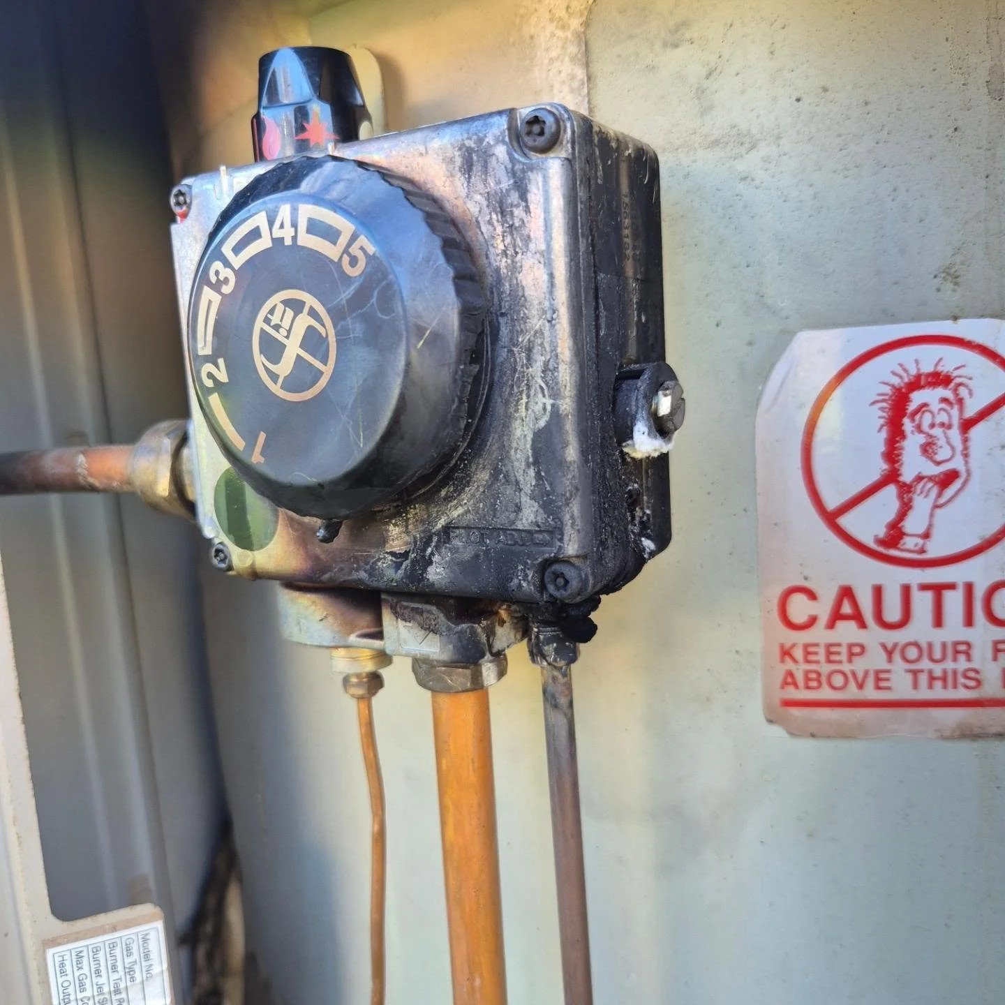 Customer heard a commotion from the hot water unit 🤔🐐
#plumbing 
#gasplumbing 
#gasleak 
#geelongsmallbusiness 
#geelong