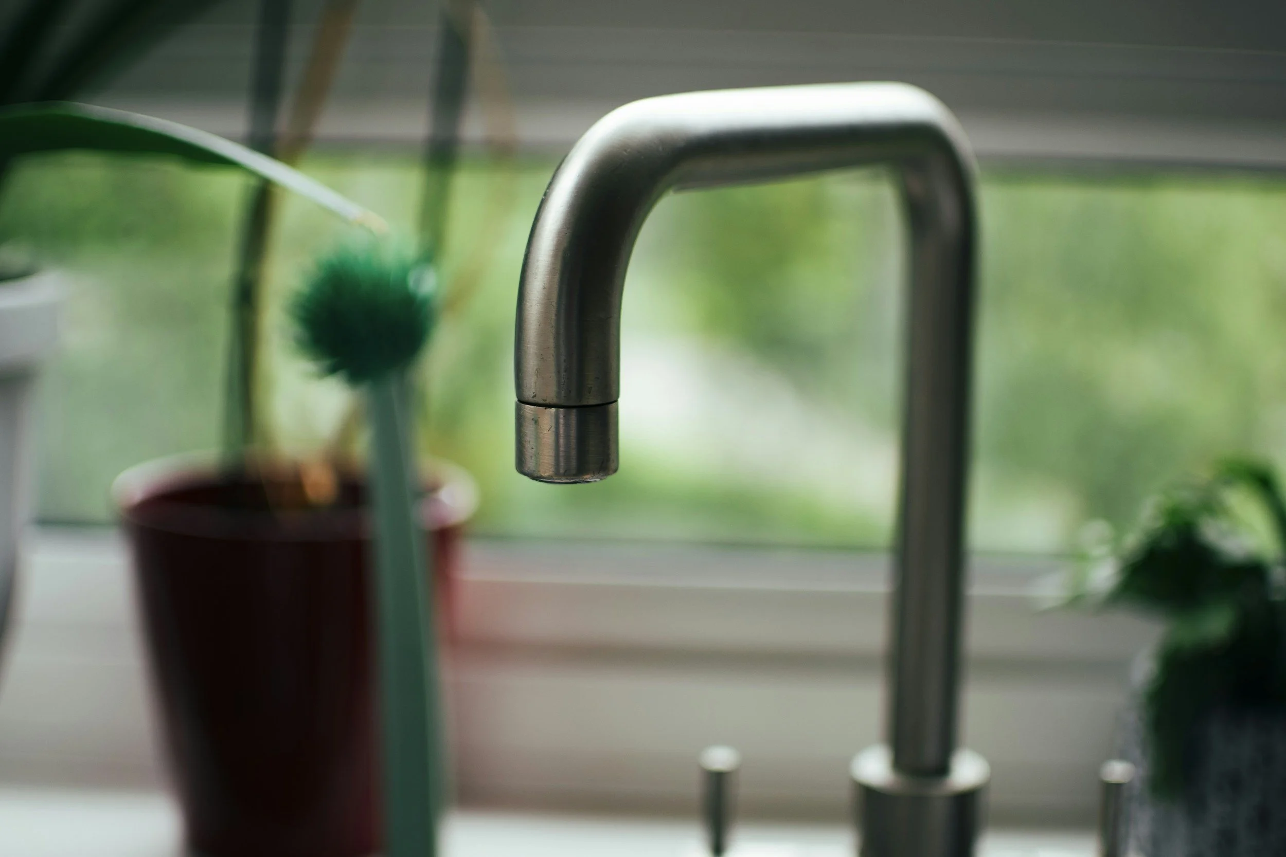 Close-up of a stainless steel kitchen faucet with a blurred green plant and window in the background.