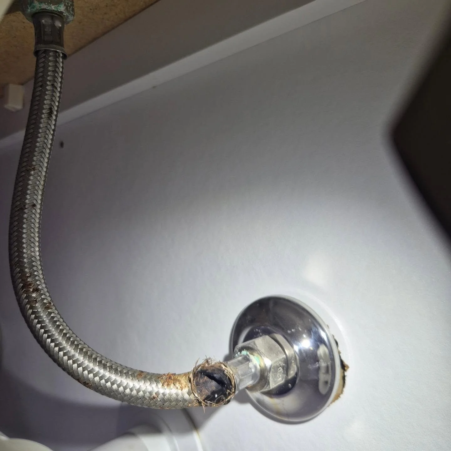 Vacant house, continuous flow hot water and a burst hot water flexi = not a good combination 
Check your water flexis for signs of rust or damage

#plumbing #burst #flexi #plumbingaustralia #geelongsmallbusiness
