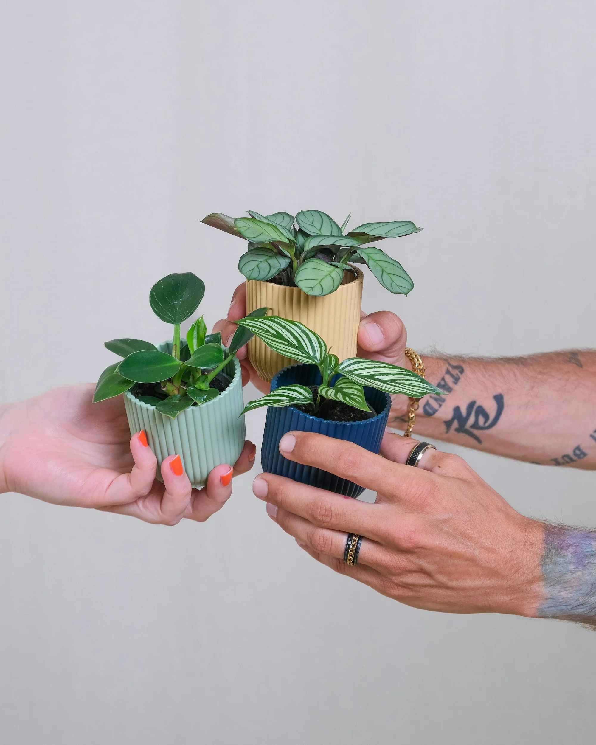5 Frugal Habits That Save Money and the Planet