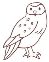 Line art owl