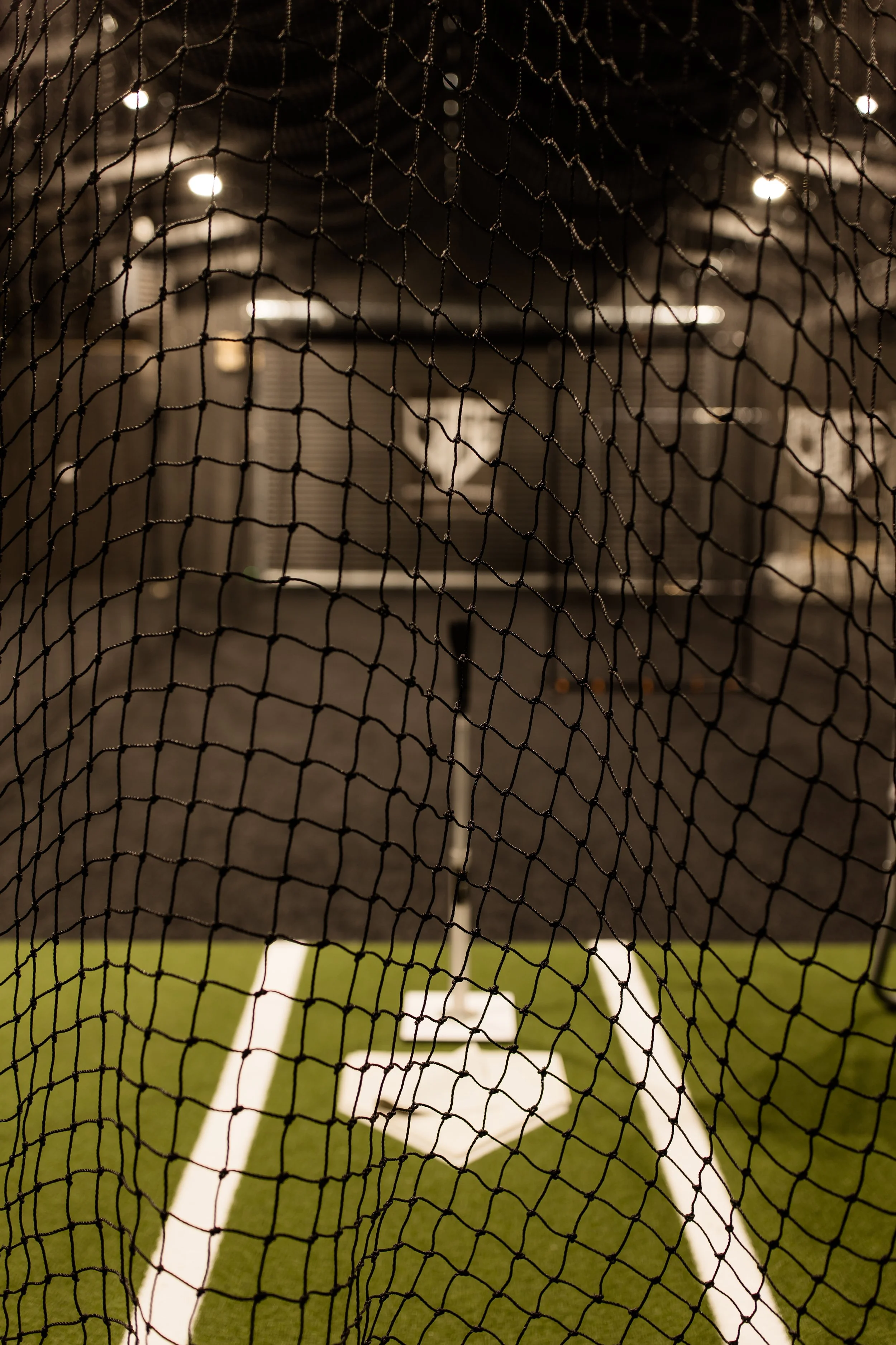 cage-5402.jpg