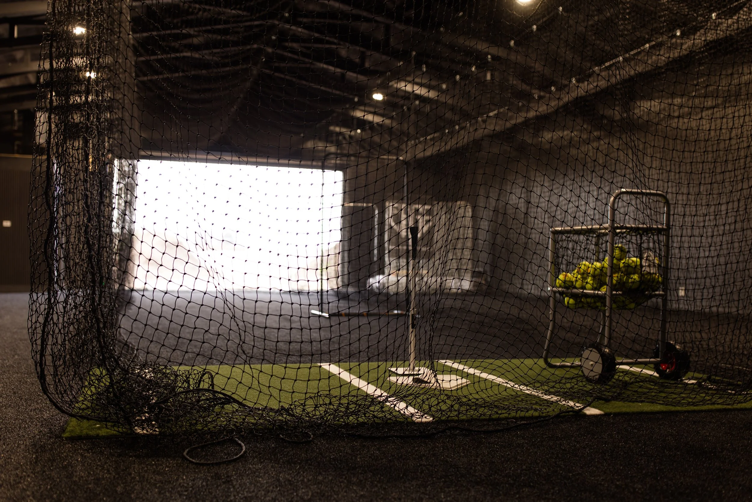 cage-5401.jpg