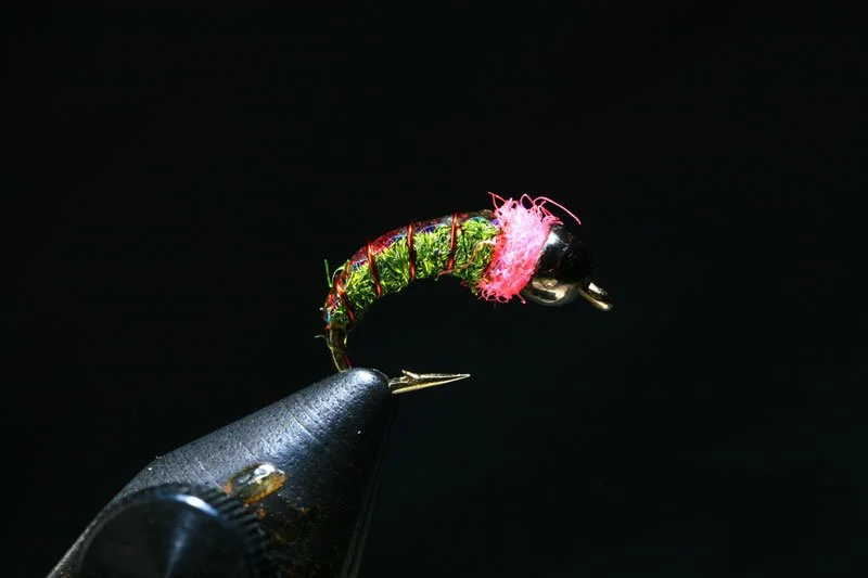 Q.D. Caddis Larva Tung Bead