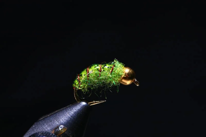 Ice Green Caddis Larva Tung Bead