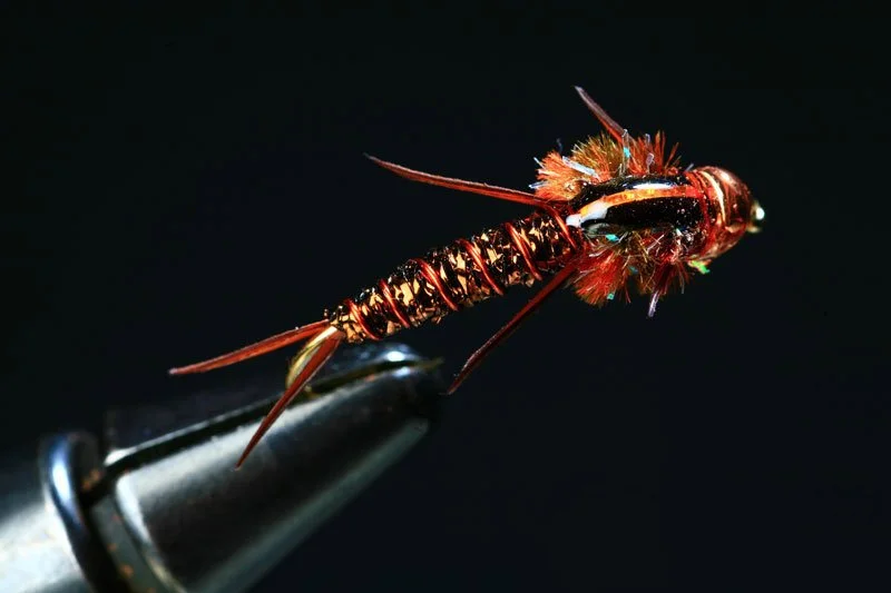 Pops Biot Stone Bronze