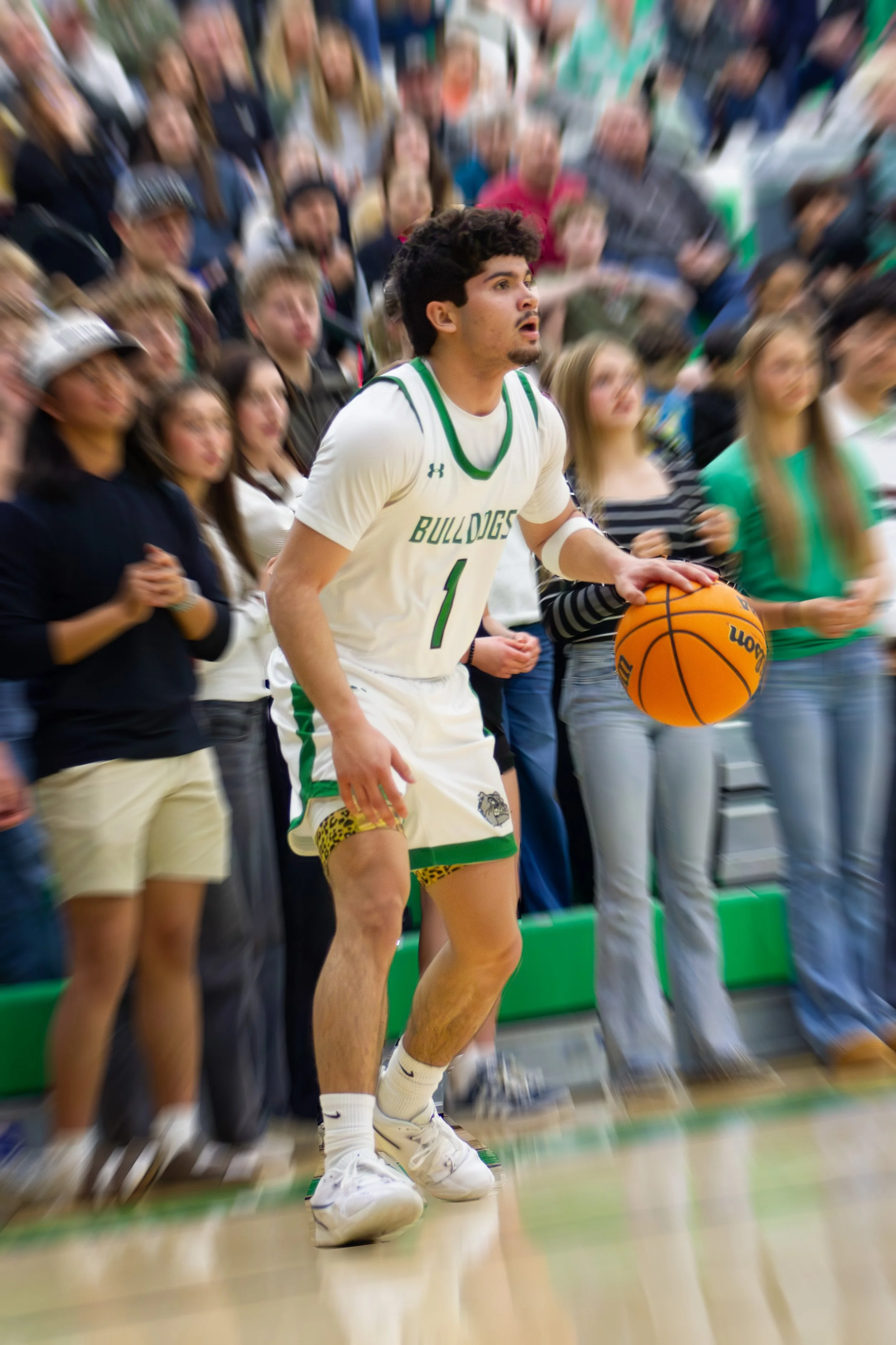 Virgin Valley Basketball